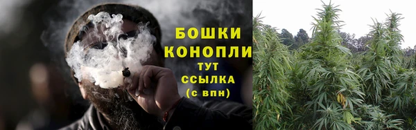 дмт Богородицк