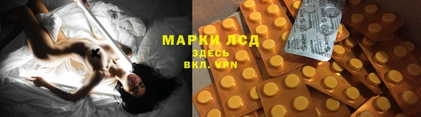 мескалин Богданович