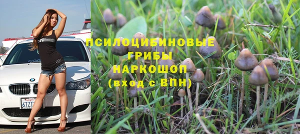 мескалин Богданович