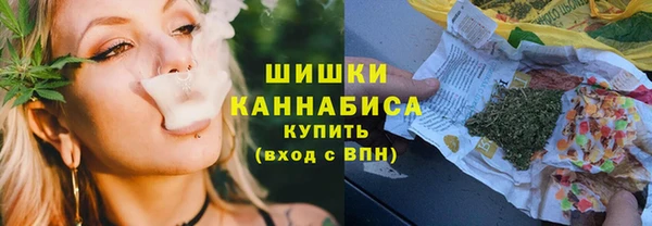 дмт Богородицк