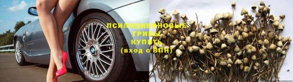 мескалин Богданович