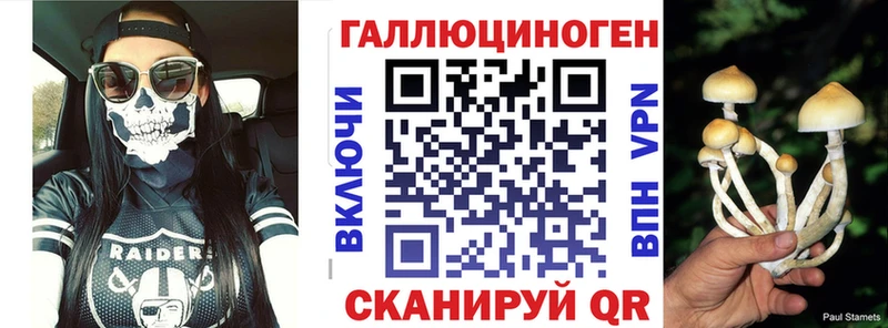 darknet официальный сайт  Гороховец  Псилоцибиновые грибы мухоморы  хочу наркоту 