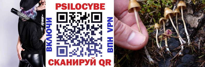 Галлюциногенные грибы прущие грибы Гороховец